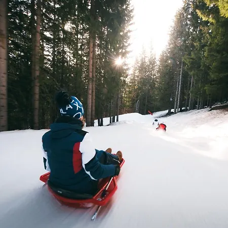 Confortable 2 Pieces, Skis Aux Pieds & Proche Commerces - Fr-1-182a-29 Куршавель