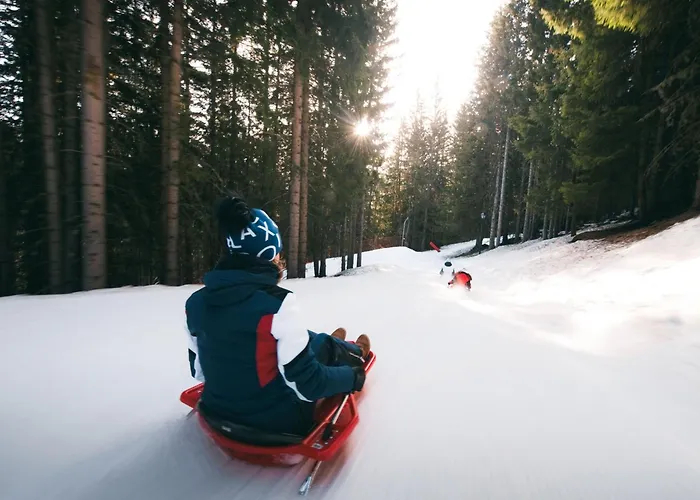 Confortable 2 Pieces, Skis Aux Pieds & Proche Commerces - Fr-1-182a-29 Daire