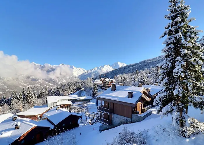 Confortable 2 Pieces, Skis Aux Pieds & Proche Commerces - Fr-1-182a-29 Courchevel